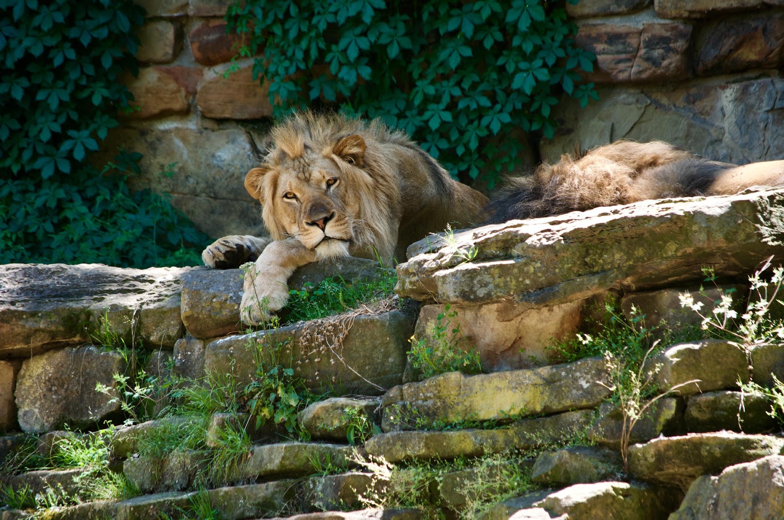 You are currently viewing Visit to Fort Worth Zoo